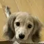 ig_mのプロフィール画像