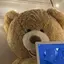 cobaのプロフィール画像