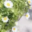 まっちーのプロフィール画像