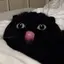 いかのプロフィール画像