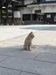 なるみのプロフィール画像