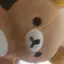 すのプロフィール画像