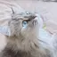 rrrのプロフィール画像