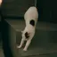 ぱたろのプロフィール画像