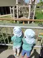 千幸湊のプロフィール画像