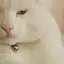 りりのプロフィール画像