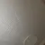 Sのプロフィール画像