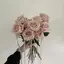 moonのプロフィール画像