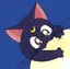 mのプロフィール画像
