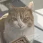 もものプロフィール画像