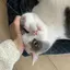 茗元のプロフィール画像