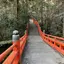 naokoのプロフィール画像