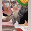マイちゃんのプロフィール画像