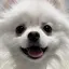 けえのプロフィール画像