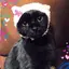 さなのプロフィール画像