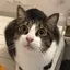 ひかりのプロフィール画像