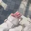 ぷぷのプロフィール画像