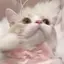 ^._.^のプロフィール画像