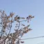 s_812のプロフィール画像