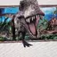 ももじりのプロフィール画像
