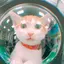 Emilyのプロフィール画像