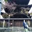 正義のプロフィール画像