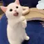 桜誠のプロフィール画像
