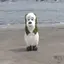 はなのプロフィール画像