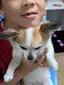 メルとあおいのプロフィール画像