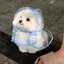 Sのプロフィール画像