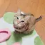 Horikeのプロフィール画像