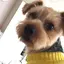 愛のプロフィール画像