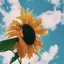早紀のプロフィール画像
