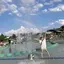 枝のプロフィール画像