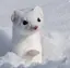 大学生のプロフィール画像