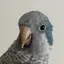 ミモリのプロフィール画像