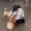 おかゆのプロフィール画像
