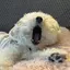 あんりのプロフィール画像