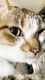 あいりのプロフィール画像