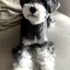 rのプロフィール画像