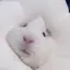 ななのプロフィール画像