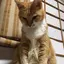 早希のプロフィール画像