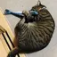 maaaiのプロフィール画像
