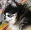 emioriのプロフィール画像