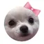 そらのプロフィール画像