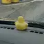 Mのプロフィール画像