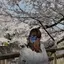 アザリアのプロフィール画像