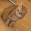 takのプロフィール画像