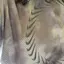 ernのプロフィール画像
