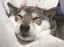 まさのプロフィール画像